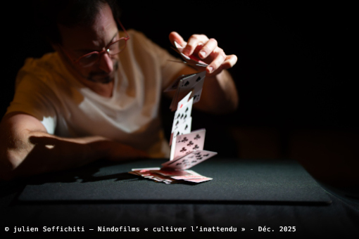 michaël Vessereau - magicien