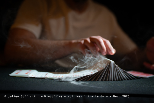 michaël Vessereau - magicien